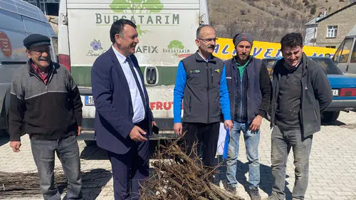 Konya'da üreticilere kestane fidanı dağıtıldı!