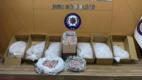 356 bin sentetik ecza hap ele geçirildi