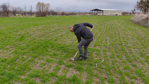 Konya'da zararlı kontrolleri yapılıyor!