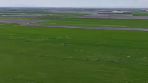 Bahar yağmurları çiftçinin yüzünü güldürdü