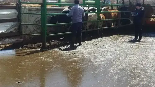 Konya'da aşılama seferberliği başladı!