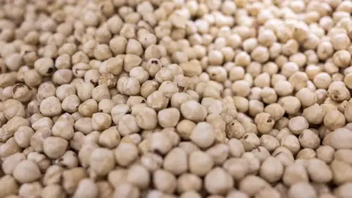 Fndık ihracatı 379 milyon dolara ulaştı