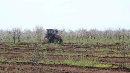 Konya'da bağ ve fidanlıklar yaza hazırlanıyor!