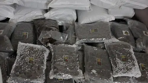 Türkiye ve Suriye'den ortak uyuşturucu operasyonu