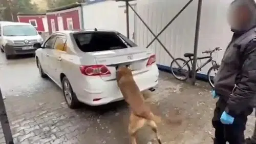 6 kilo kokain ele geçirildi