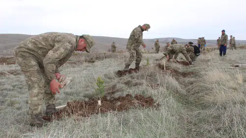 Mehmetçik hatıra ormanı oluşturuldu