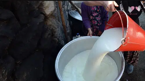 Süt üreticisinin beklediği haber geldi: Yeni fiyat belli oldu