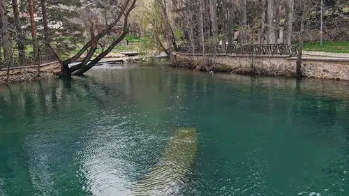 Konya'nın doğal güzelliği İvriz baharla yeniden hayat buldu