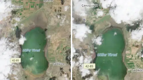 Konya'daki o göl canladı: Bölge halkının umutları yeşerdi!