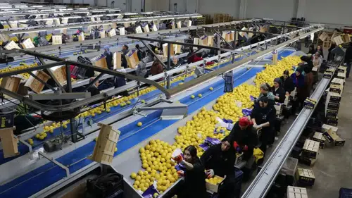 Türkiye, en fazla yaş meyve sebzeyi Irak'a gönderdi