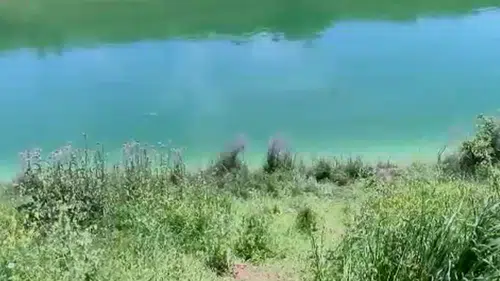 Sulama kanalında kadın cesedi bulundu