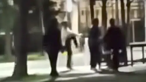 Selçuklu'da çarpıcı görüntü: Kamelyaları kırdılar!