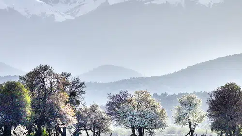 Konya'da bahar ve kar aynı karede: 2 mevsim görsel şölen oluşturdu!