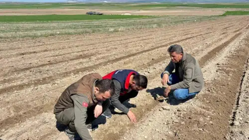 Konya’da baharlık ekim alarmı: Tarih açıklandı!