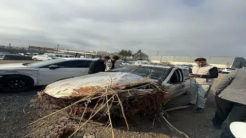 Devrilen otomobilin sürücüsü öldü