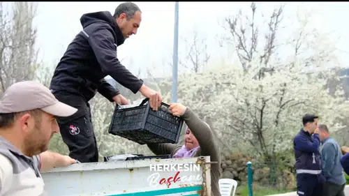 Konya çilek üretim üssü olacak: Belediye bedava dağıttı!