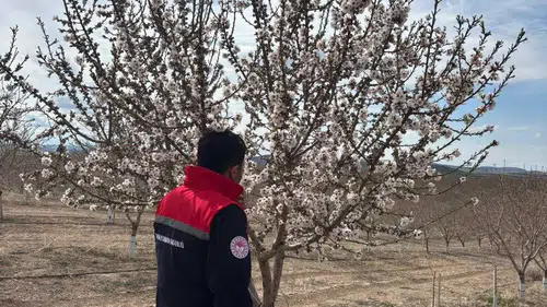Konya'da don tehlikesine karşı kritik inceleme