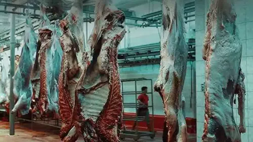 Konya dahil 8 ilde et fiyatı manipülasyonuna 7 tutuklama