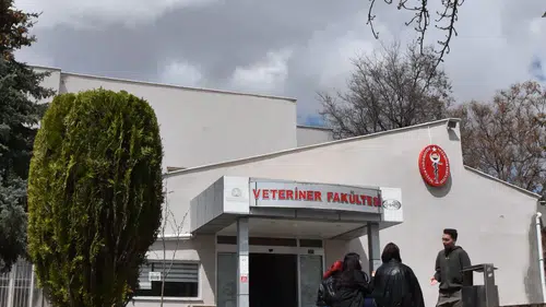 Selçuk Üniversitesi'nden bahar paylaşımı