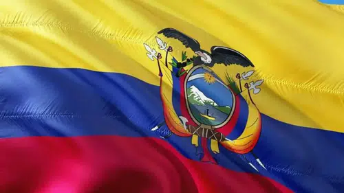 Ekvador'da yolcu otobüsü nehre düştü: 11 ölü