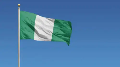 Nijerya'da silahlı saldırı: 11 ölü, 2 yaralı