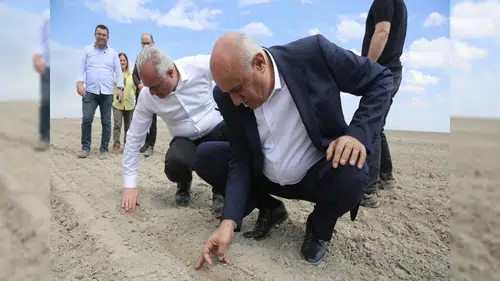 Erkoyuncu, pancar ekimine katıldı