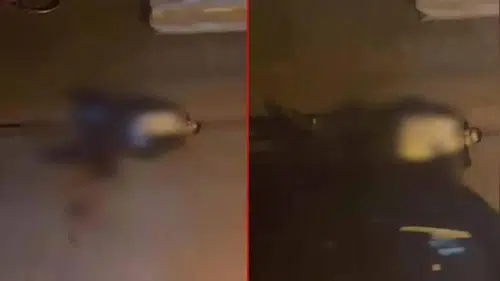 Silahla vurulan kişi ağır yaralandı