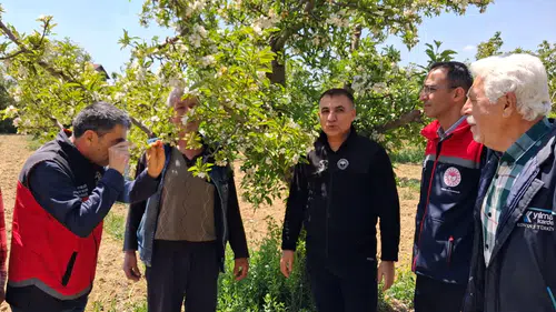Konya’da meyve bahçeleri yakın takipte: Don riski denetleniyor!