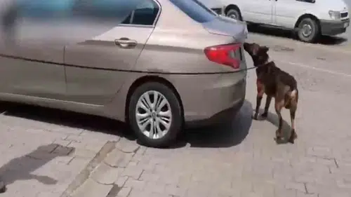 80 kilo uyuşturucu ele geçirildi; 3 tutuklama