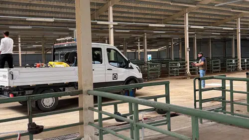 Konya'da kurban bayramı öncesi hazırlıklar başladı!
