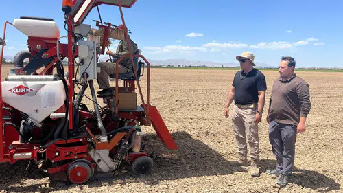 Konya’da “Smart Corn” atağı: Kuraklığa dayanıklı mısır için deneme başladı!
