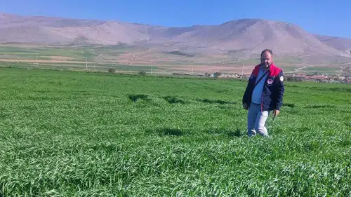 Konya’da süne alarmı! Ekipler sahaya indi!