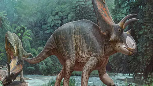 Tayland'da yeni bir dinozor türüne ait kalıntılar bulundu