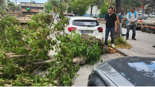 Konya’da devrilen ağaç otomobilin üzerine düştü