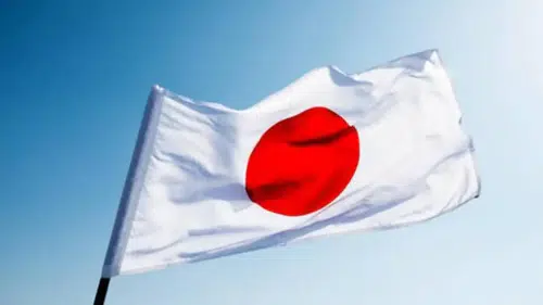 Japonya'da zincirleme trafik kazası: 1 ölü