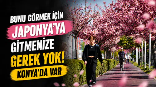 Bunu görmek için Japonya'ya gitmenize gerek yok! Konya'da var
