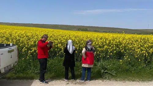 Karatay’da tarlalar alarmda: Süne ve hastalık kontrolleri sıklaştı