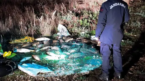 Beyşehir Gölü'nde kaçak avlananlara 337 bin lira ceza