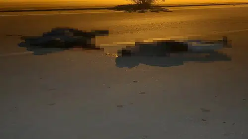 Trafikte yol verme kavgası: 3 ölü