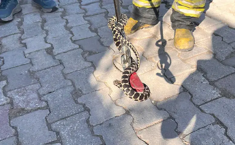Kimse böyle bir şey beklemiyordu!