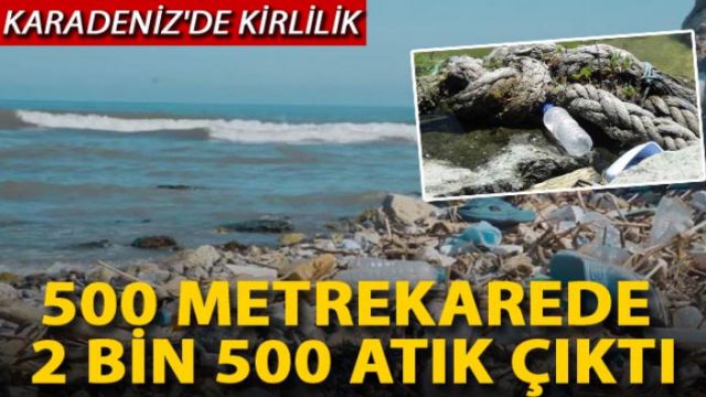 Karadeniz'de kirlilik