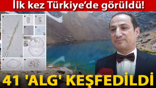 Türkiye'de 41 'alg' keşfedildi