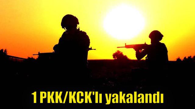 1 PKK/KCK'lı yakalandı