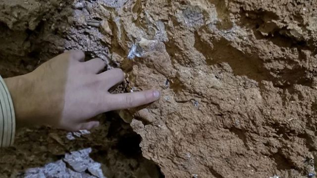 130 bin yıl önce yaşayan Denisovalı bir çocuğa ait diş bulundu