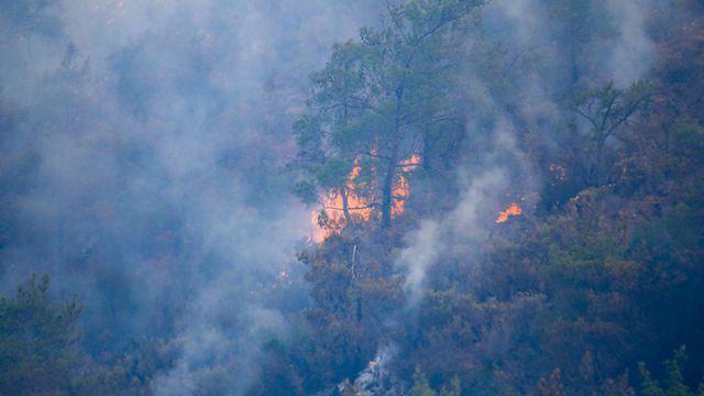 EGM'den orman yangını içerikli paylaşımlara inceleme