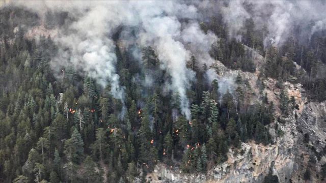 Mersin'deki orman yangınına havadan müdahale sabah saatlerinde yeniden başlatıldı