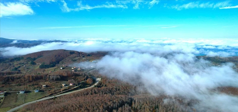 Çöken sis ve ormanlık alanlar dron ile görüntülendi