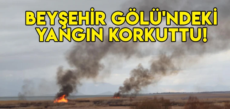 Beyşehir Gölü'ndeki yangın korkuttu!