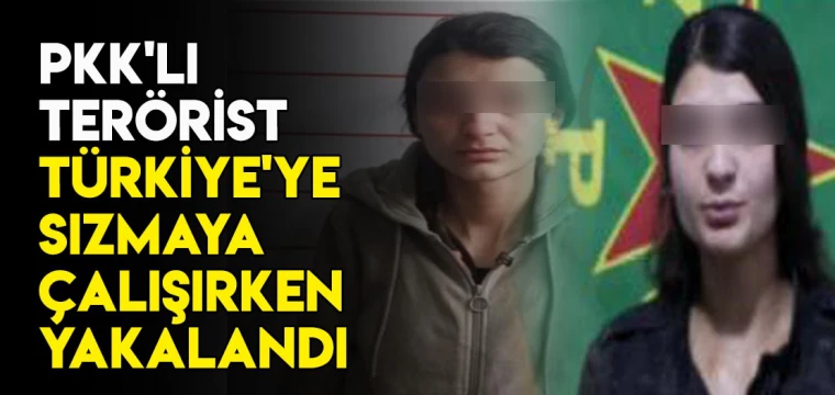 PKK'lı terörist Türkiye'ye sızmaya çalışırken yakalandı