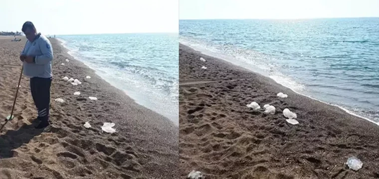 Antalya'da yüzlerce denizanası kıyıya vurdu
